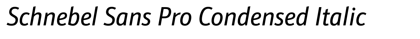 Schnebel Sans Pro Condensed Italic